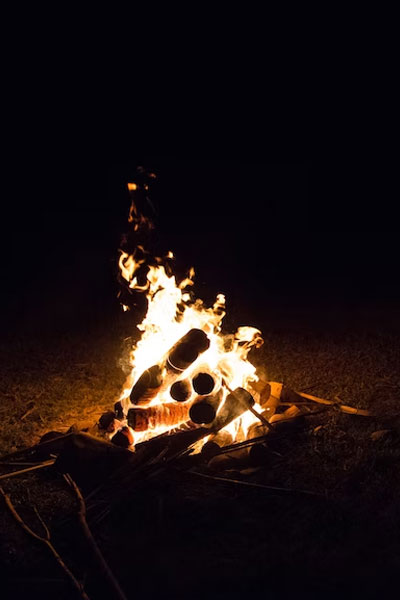 passion_Better_Mammals